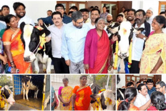 Zameer ahamad Zameer ahamad Zameer ahamad