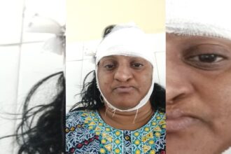 sfagasdg sfagasdg sfagasdg