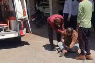 Drunk professor wandering in the middle of the road