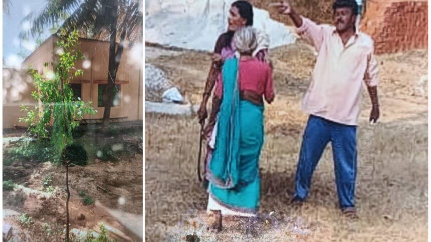 Lady Tiger. Lady Tiger. Lady Tiger.