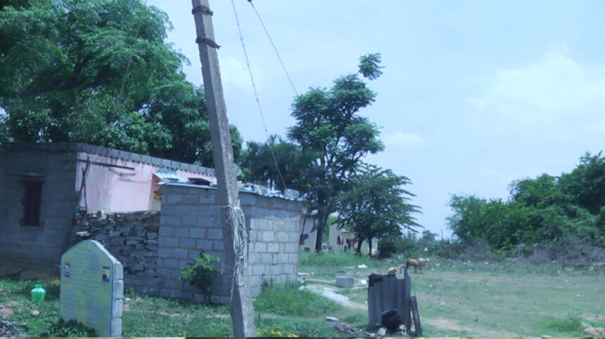 Toilet Toilet Toilet