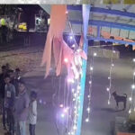 Tumauru 01 Tumauru 01 Tumauru 01