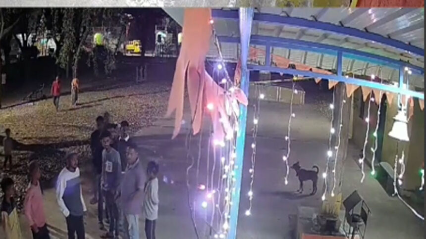 Tumauru 01 Tumauru 01 Tumauru 01