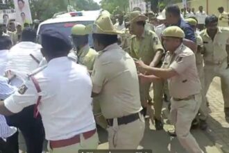 dgdgdgdgs dgdgdgdgs dgdgdgdgs