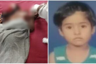 Dog Attack Dog Attack Dog Attack