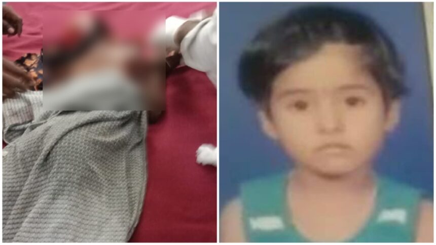 Dog Attack Dog Attack Dog Attack