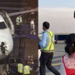 Indigo Indigo Indigo