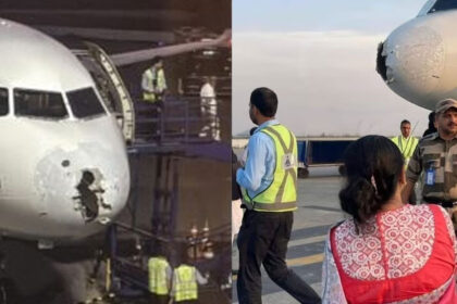 Indigo Indigo Indigo