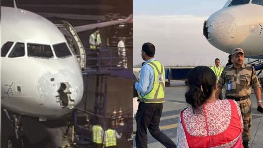 Indigo Indigo Indigo