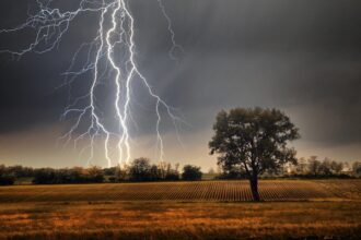 Lighting. Lighting. Lighting.