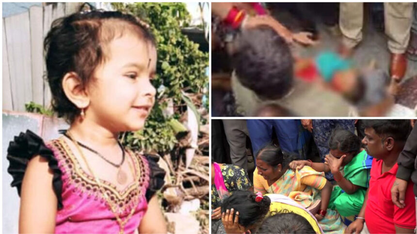 Magu 01 Magu 01 Magu 01