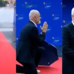 Meloni Meloni Meloni