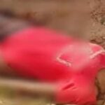 Murderr Murderr Murderr