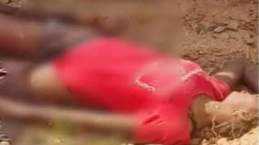 Murderr Murderr Murderr