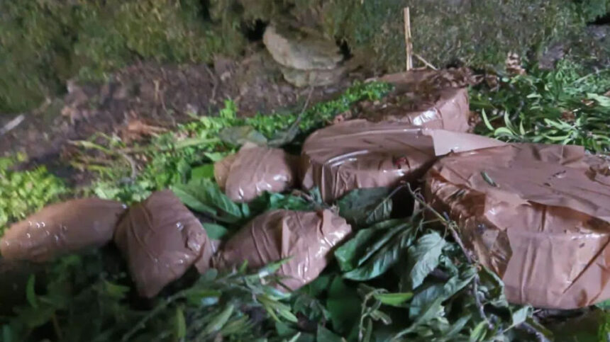 Terror Hidout Terror Hidout Terror Hidout