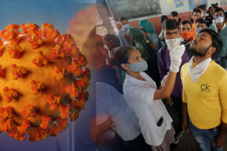 Covid 19 Covid 19 Covid 19