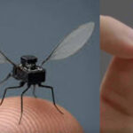 Microdrone Microdrone Microdrone