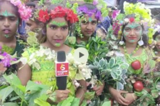 School School School