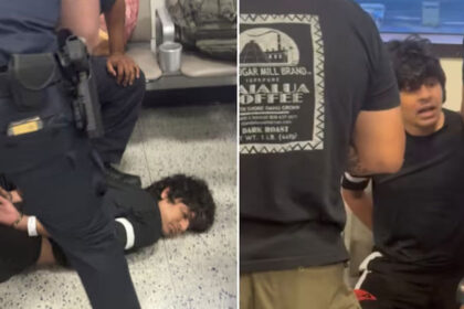 adgsgsg adgsgsg adgsgsg