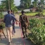 Biharf Biharf Biharf