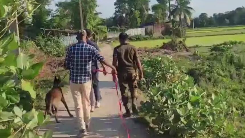 Biharf Biharf Biharf