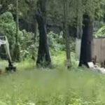 Dharmasthala 2 Dharmasthala 2 Dharmasthala 2