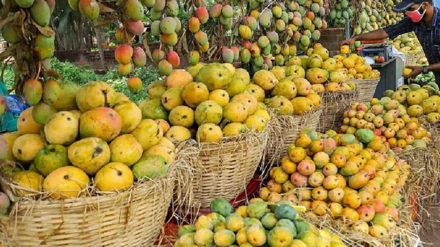 Mango Price Mango Price Mango Price