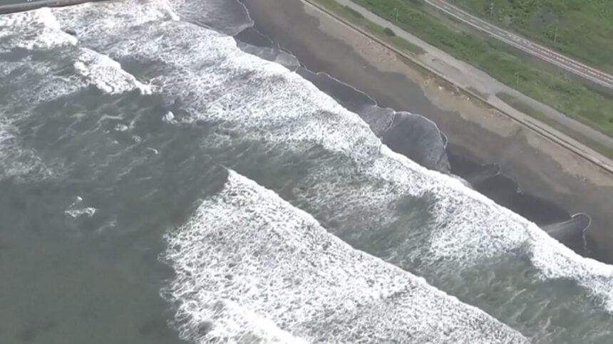 Tsunami 011 Tsunami 011 Tsunami 011