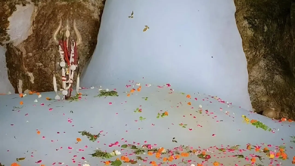 image 1 image 1 image 1