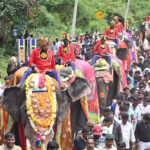 Dasara Elephant Dasara Elephant Dasara Elephant