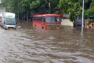 Mumbai RFain. Mumbai RFain. Mumbai RFain.