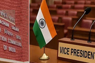 Vice President Vice President Vice President