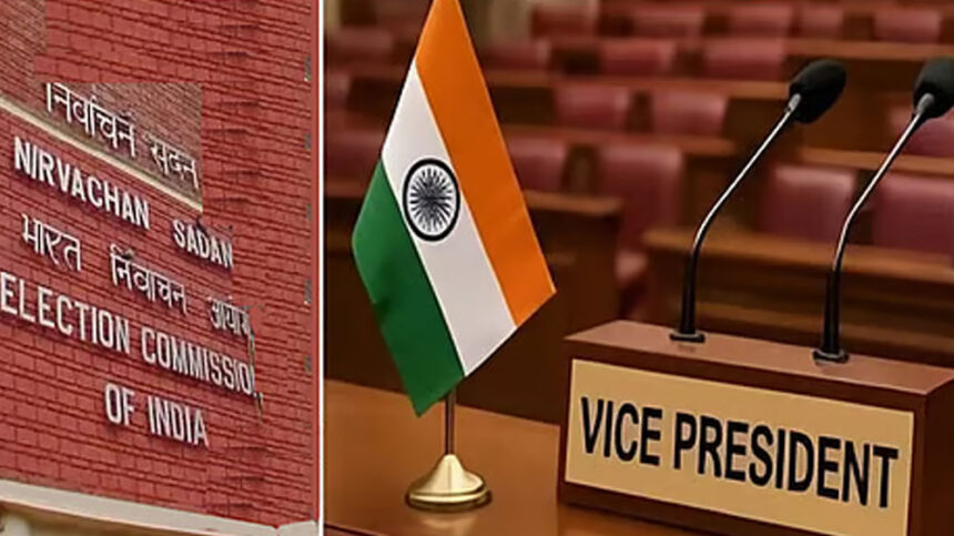 Vice President Vice President Vice President