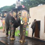 WhatsApp Image 2025 08 11 at 10.43.41 f58b3d4a WhatsApp Image 2025 08 11 at 10.43.41 f58b3d4a WhatsApp Image 2025 08 11 at 10.43.41 f58b3d4a