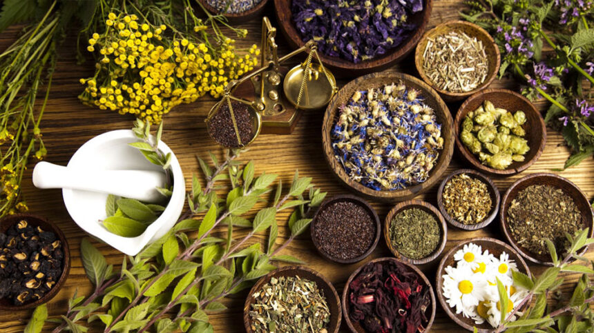 herbal medicine herbal medicine herbal medicine