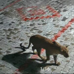 ssfsfsf ssfsfsf ssfsfsf