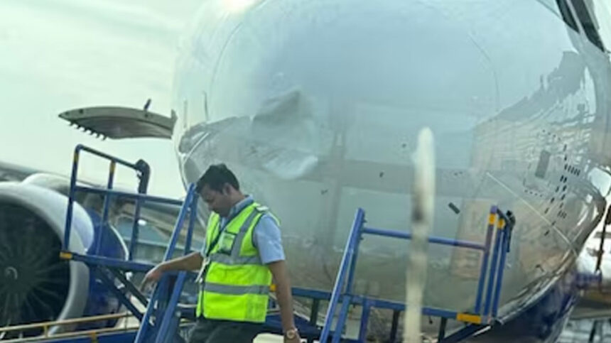 Indigo Indigo Indigo