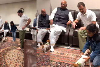 Rahul Rahul Rahul