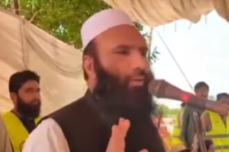 dhghfhj dhghfhj dhghfhj