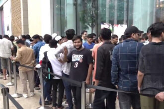 shfhfh shfhfh shfhfh