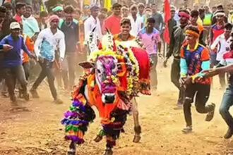 dgdgdg dgdgdg dgdgdg