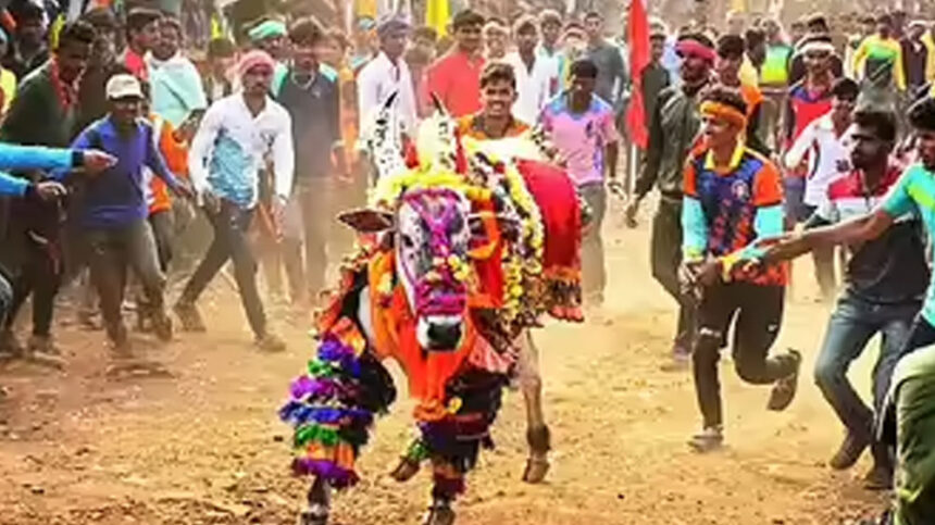 dgdgdg dgdgdg dgdgdg