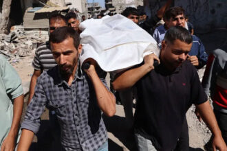 djdjgj djdjgj djdjgj