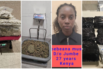 Ganaja 01 Ganaja 01 Ganaja 01