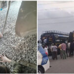 Tlanga Tlanga Tlanga