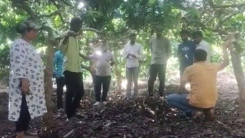 dgadgdg dgadgdg dgadgdg