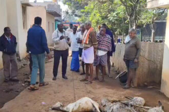 gdgddhg gdgddhg gdgddhg