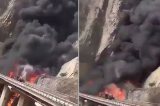 sgdgdgdg sgdgdgdg sgdgdgdg