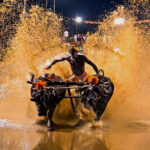 Kambala Kambala Kambala