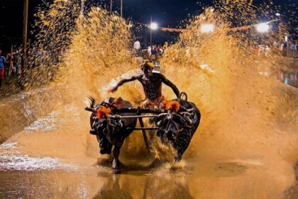Kambala Kambala Kambala